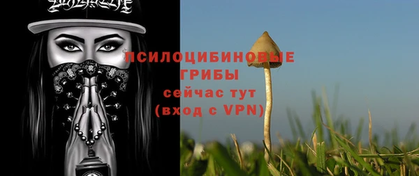 2c-b Няндома