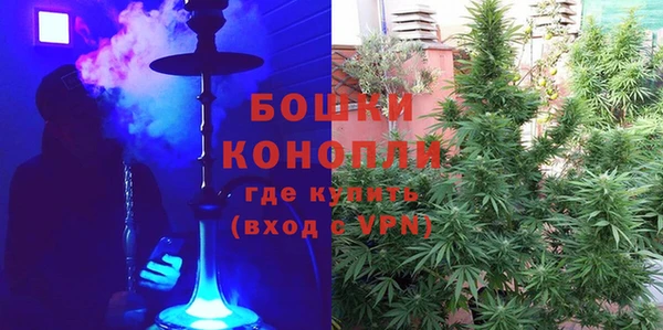ГАЛЛЮЦИНОГЕННЫЕ ГРИБЫ Нязепетровск
