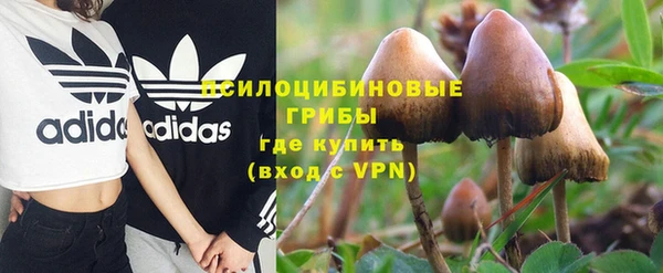 ГАЛЛЮЦИНОГЕННЫЕ ГРИБЫ Нязепетровск